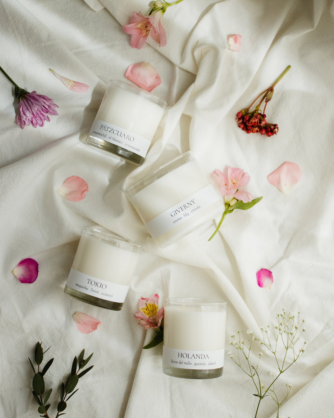 GIVERNY │ ozono, lily y ciruela